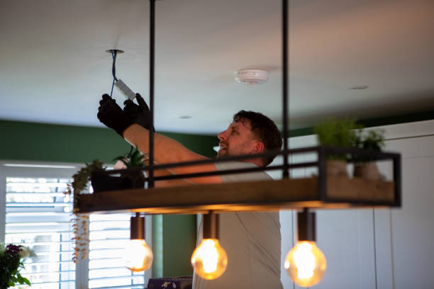 Best 24-Hour Electrician  in Dayton, MN