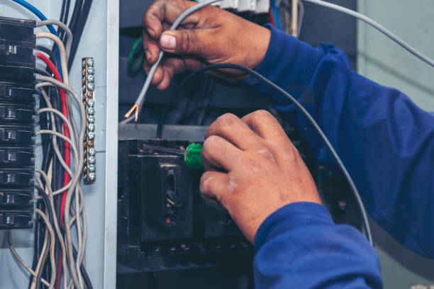 Best Local Electrician Companies  in Dayton, MN
